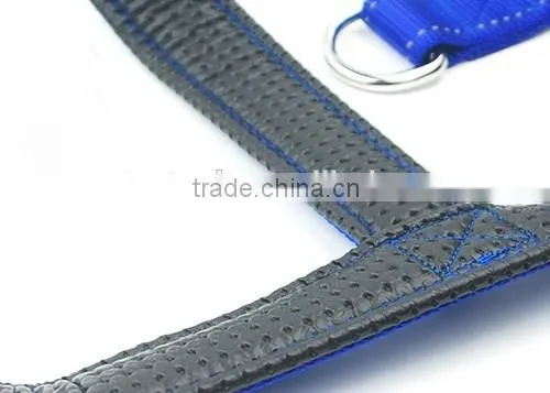 Hot-sales Comfortable Foam padded Pet Dog Harness and Leash Set with Reflective Strip