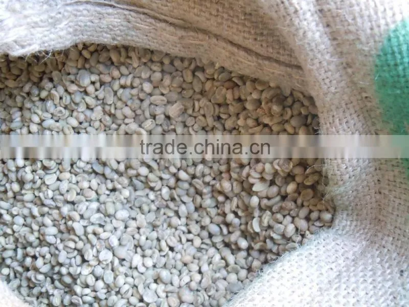 GMO arabica coffee bean price
