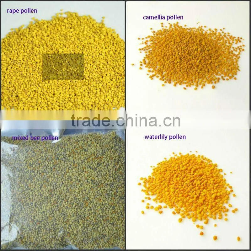 nuisanceless pure nature bee honey pollen