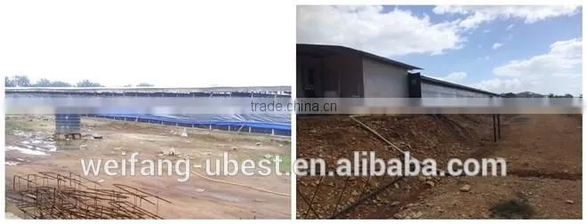 Low price Philippines poultry farm house design broiler chicken raising equipment