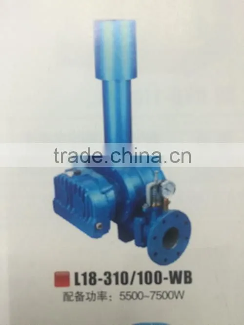 Low Noise Roots Blower