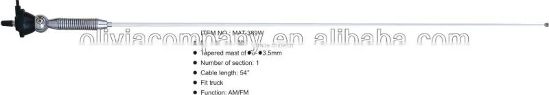 car carbon fiber antenna with radio AM/FM Car Antenna