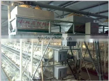 chicken coop