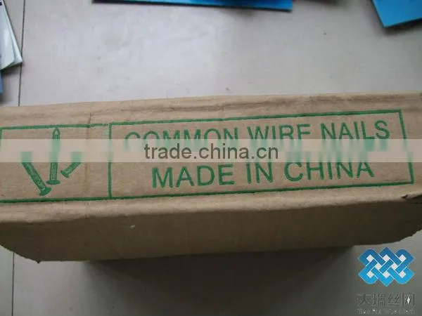 common wire nail/polished common nail/bright common nail
