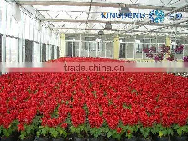 Greenhouse for Growing Flowers