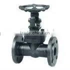 Class 150-1500 Cast Steel Gate Valve