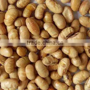 organic soybean