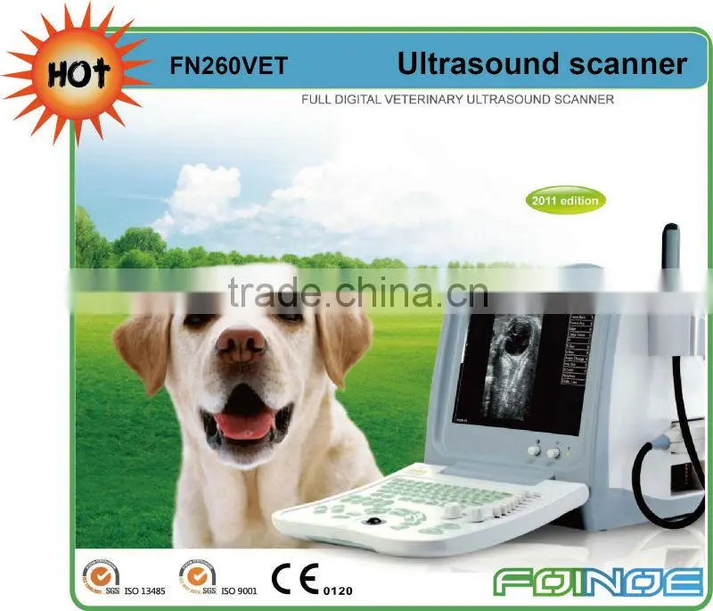 FN550V HOT selling full digital B model ultrasound veterinary portable