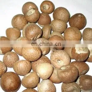 Vietnam Dried Areca nut/Betel Nuts with High Quality