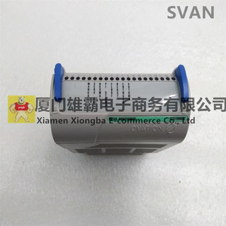 1C31194G02 (4).jpg