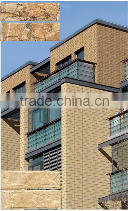 3D inkjet exterior wall decorative tile/villa decoration