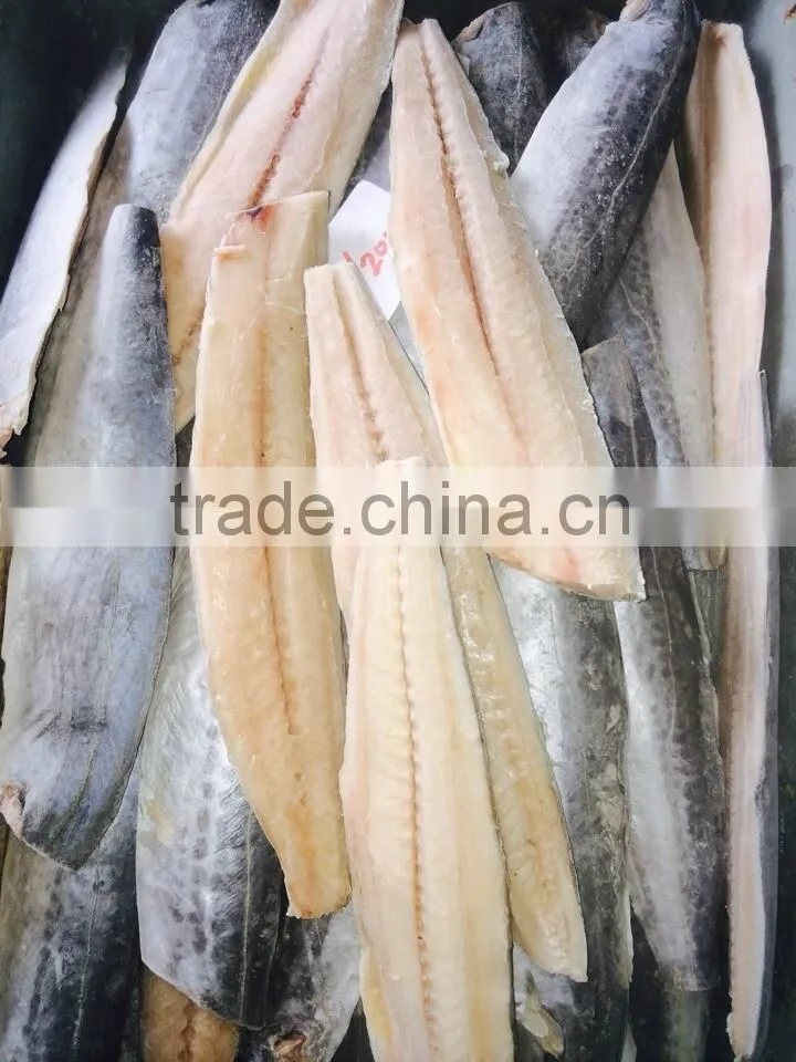 Frozen Whole Round Spanish Mackerel