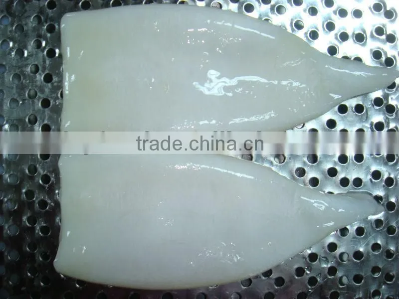Frozen Squid Tube fish