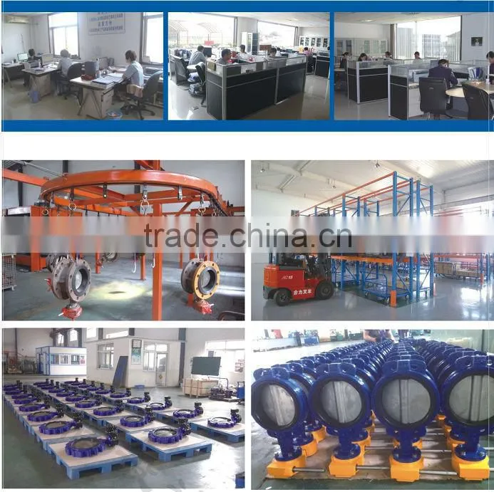 CV-LY-012single disc stainless steel wafer type dn80 CFS check valve