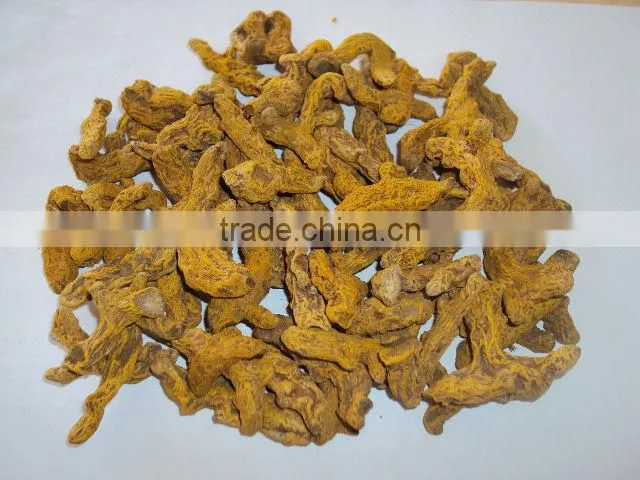 Turmeric Powder ( Dried Turmeric/ Turmeric powder)