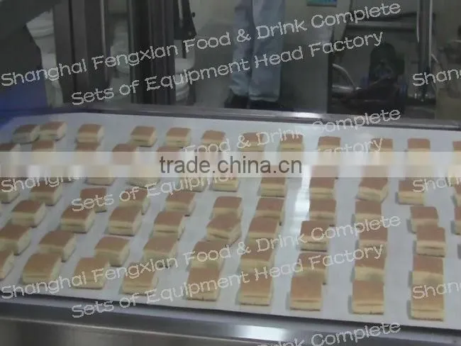 Full Automatic Layer Cake Product Line