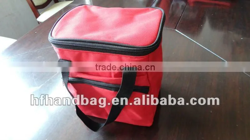 2012 Perfect Practical Picnic Cooler Bag