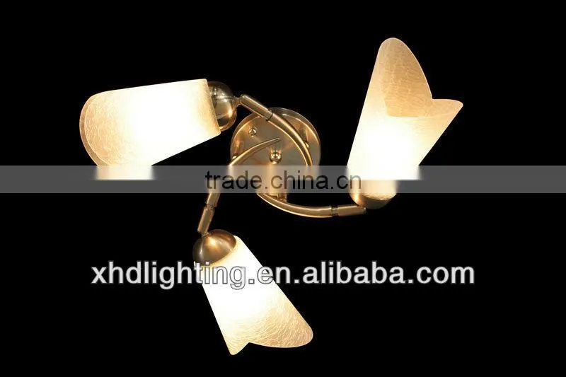 2014 Best Selling 3 Bulbs Modern Ceiling Lamp Made in China