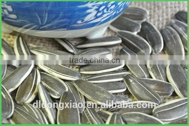 Shop Online Price of Sunflower Seeds, Specifications for Sunflower Seed