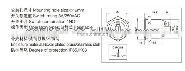 Flat 19mm push button switch