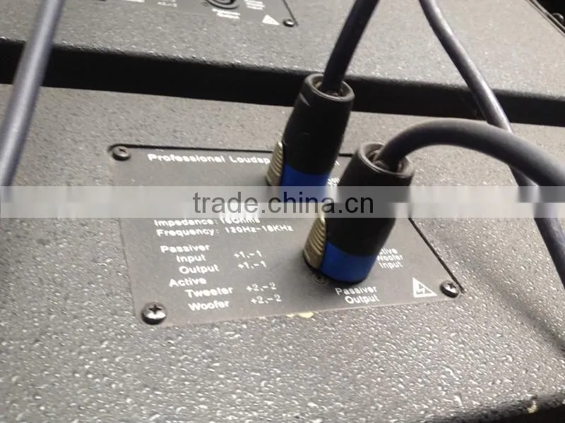 High Power Compact Double 8" Church Line Array