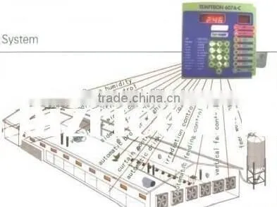 broiler chicken raising equipment