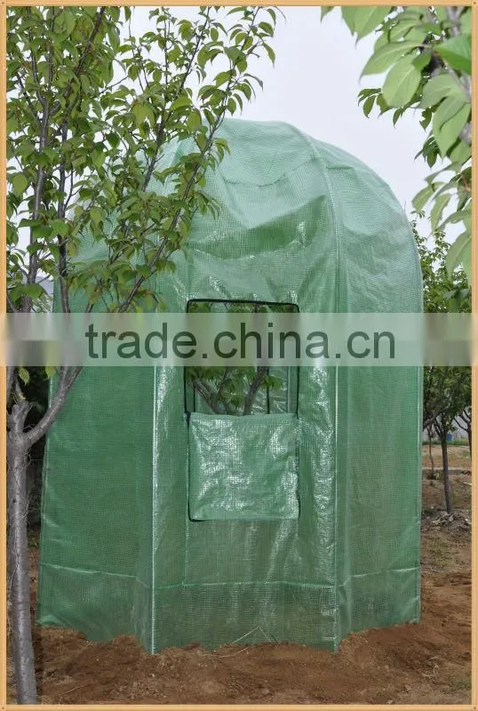 Tree Greenhouse