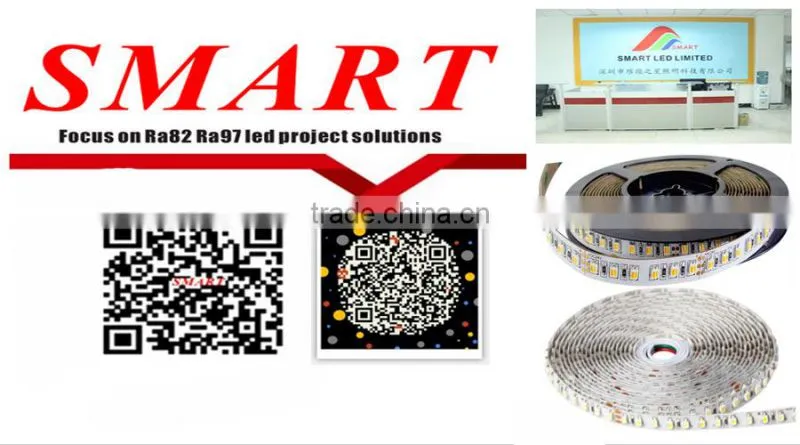 Led strip light DC12/24v high bright 5050 led strip 60leds/m flexible addressable rgb led strip