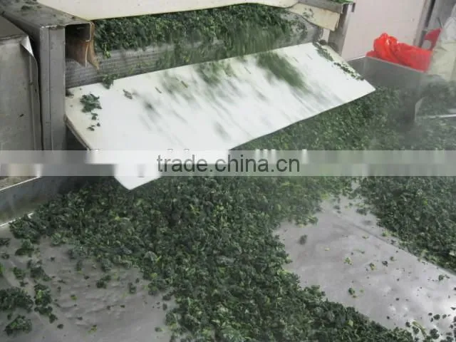 frozen chopped spinach
