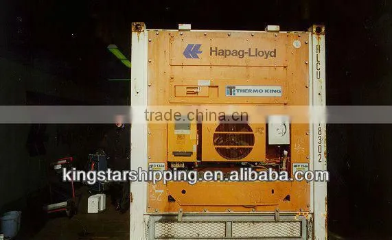 20'RF Container for frozen duck