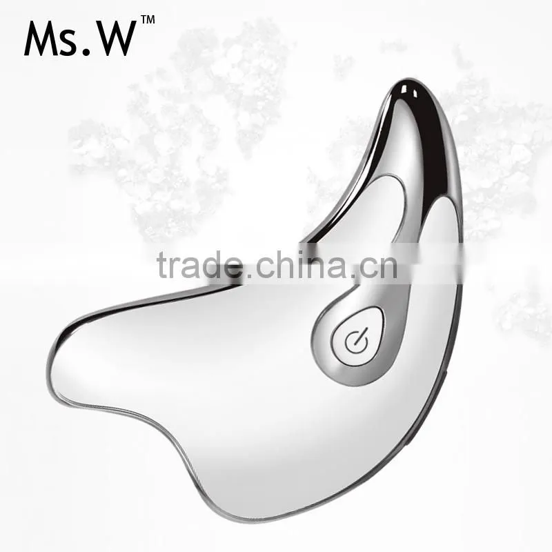 Mini Portable Galvanic Positive Ion Negative Ion therapy Face Lifting Beauty Device