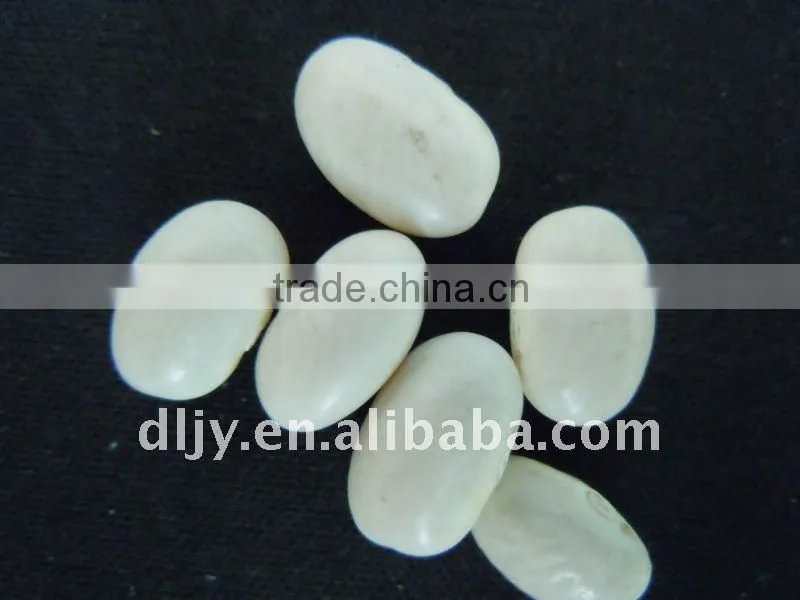 Japan Style White Beans