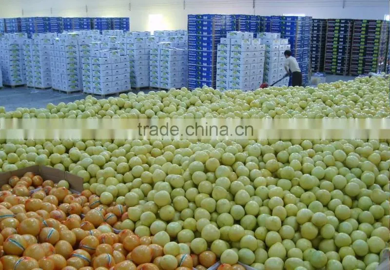 Customers buy sour fresh honey pomelo from China