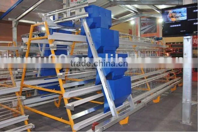 Automatic chicken feeding machine