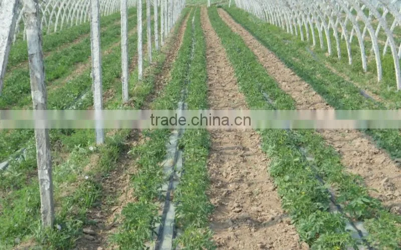 Drip irrigation hose watering price
