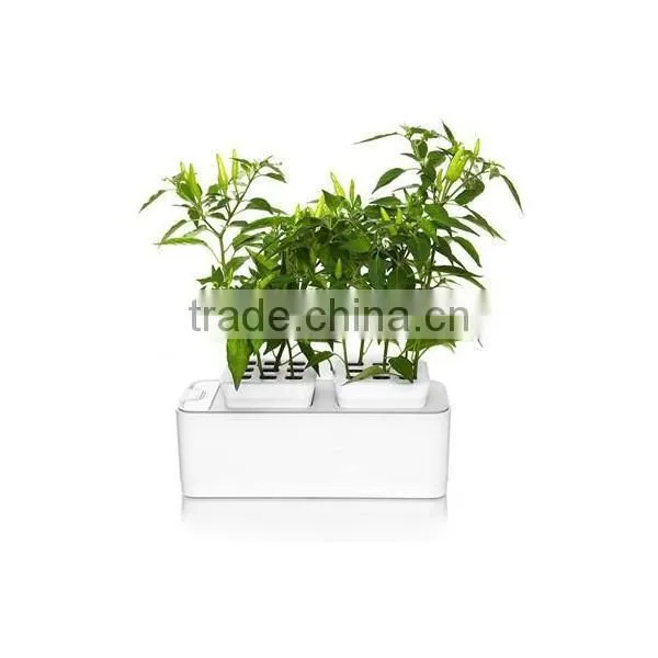 2014 newest office decoration mini smart garden