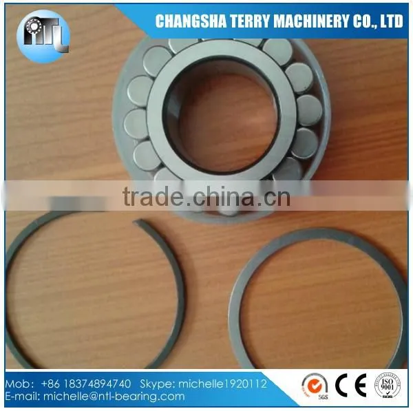 full complement Roller bearing planet gear bearing F-219012