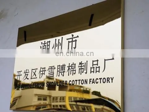 Chaozhou Esnow Shoulder Cotton Factory company overview - view 1