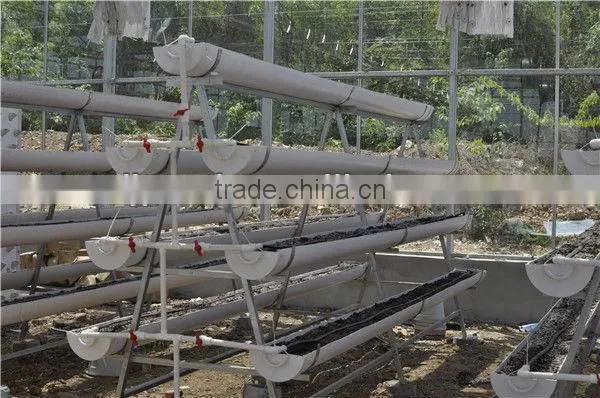 Good Quality Hydroponics Greenhouse