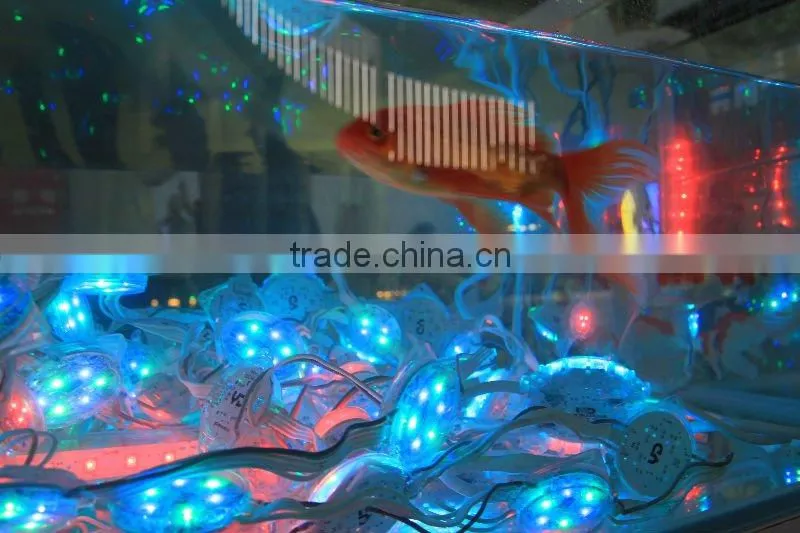 IP68 Aquarium led lighting