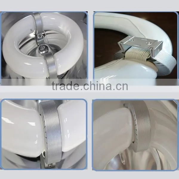 Experienced china manufacturer waterproof & dustproof electronic ballasts high bay induction lamp