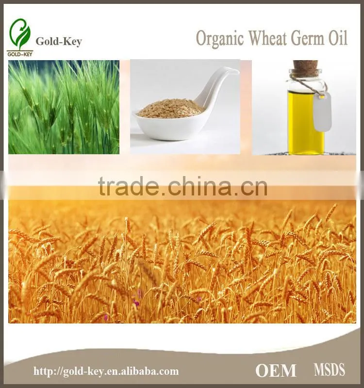 100% pure food grade cold press wheat germ oil price