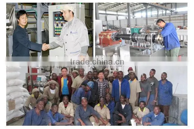 Full high automatic modified starch production line