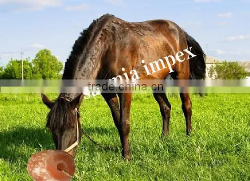 Animal Lick Salt (Organic Salt for Live Stock)