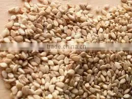 Natural Toasted Sesame Seed Sortex Clean