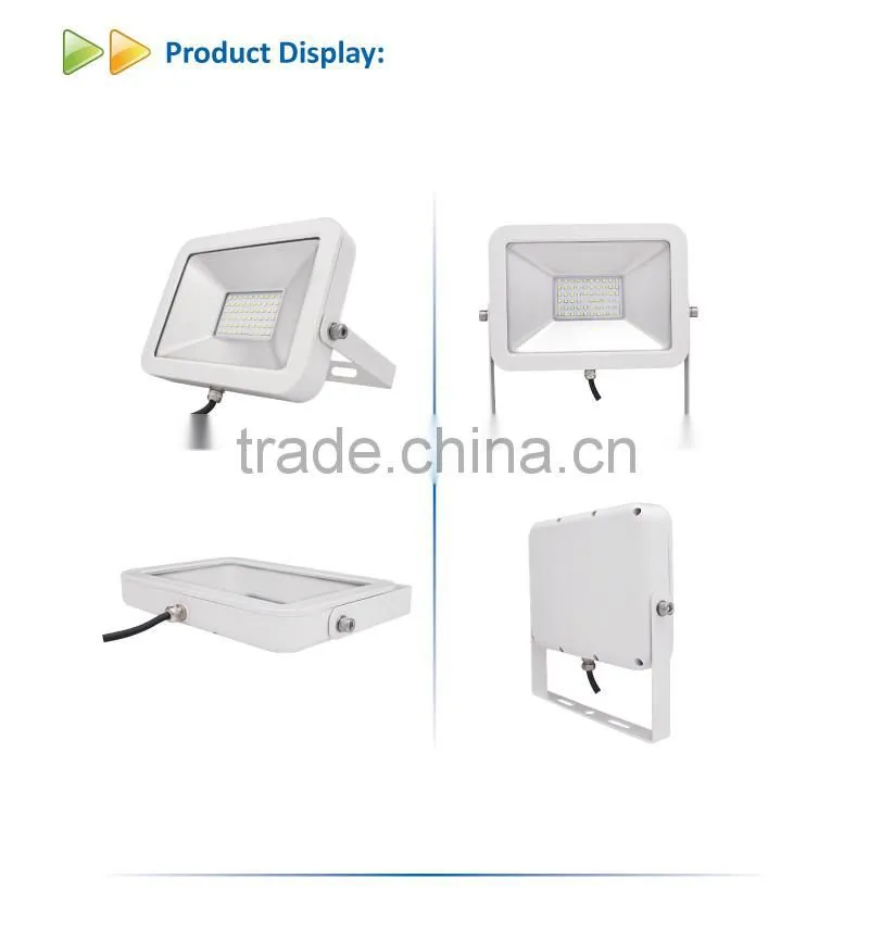 Aluminum Die Casting IPAD 30W LED Flood Light
