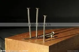 Wood common nail polished common nail