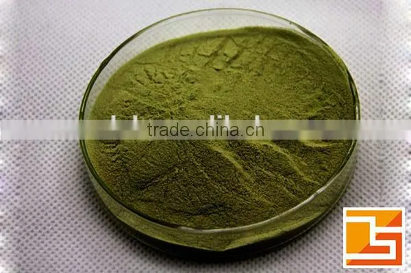 Hot Sale Low Price High Quality Broccoli Powder extract