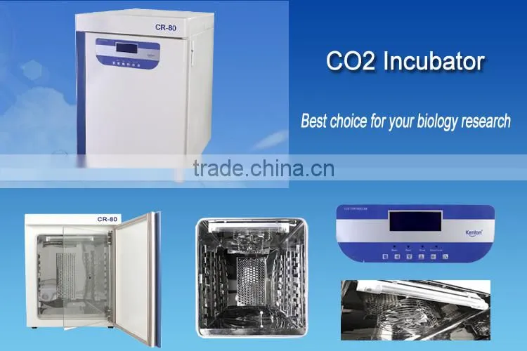 kenton CR series 2.8FT CO2 incubator for bacteral culture cell culture stainless chamber