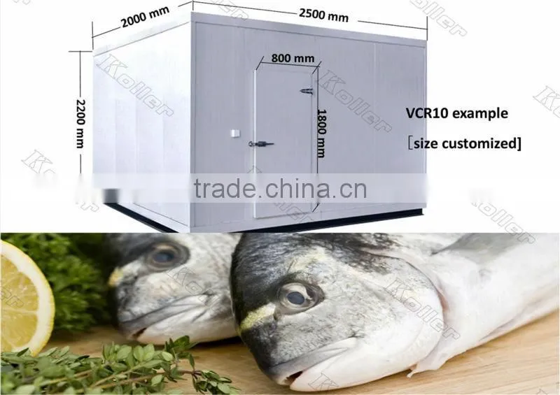 walk in Koller freezer cold room for fishery